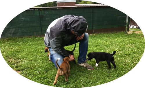 B-Wurf - Impressionen vom Hundeplatz am 1.07.2017