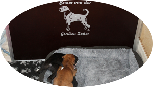 Impressionen vom 22.-26.10.2018